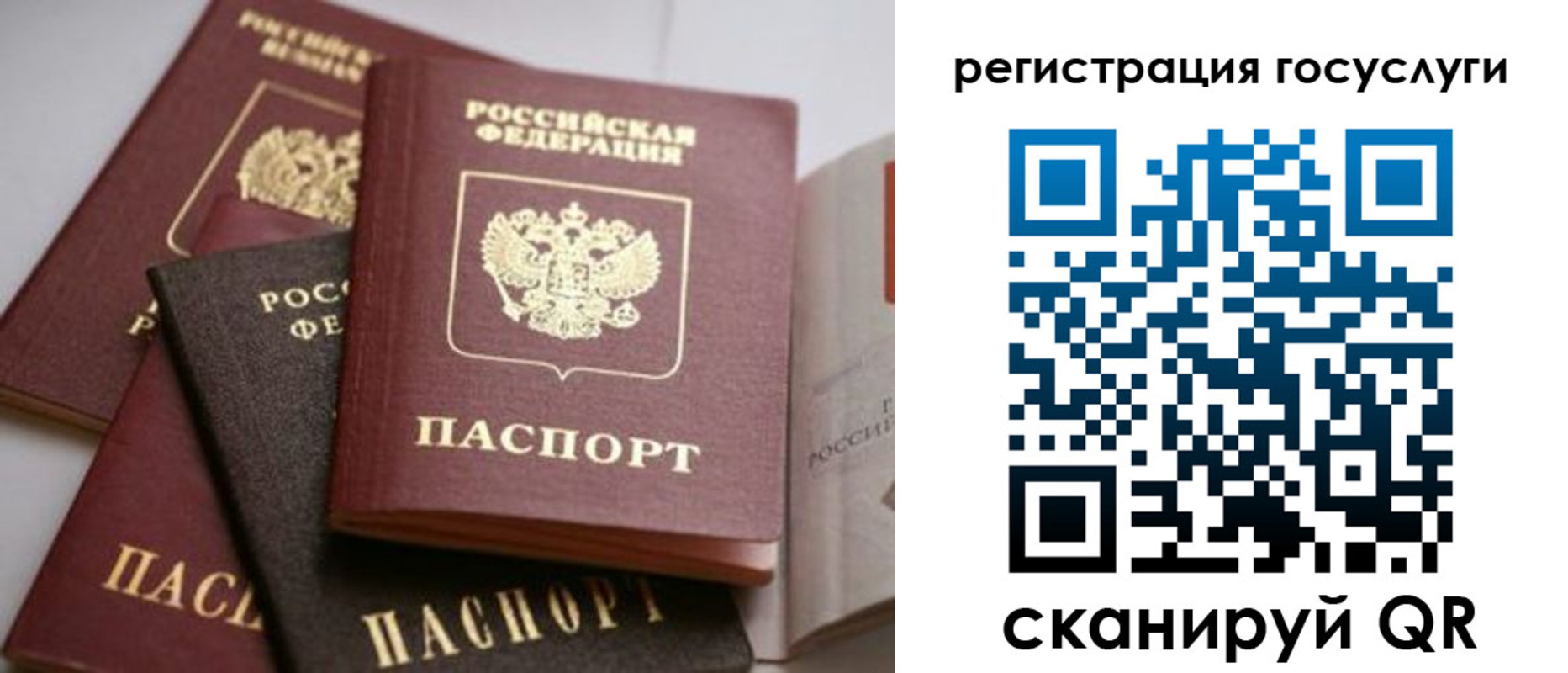пропишу в квартире в Курганской области